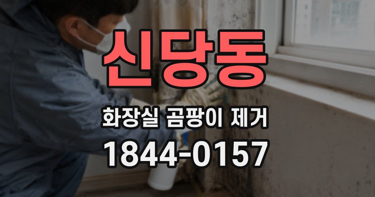 신당동 화장실 곰팡이 제거