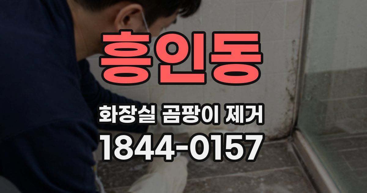 흥인동 화장실 곰팡이 제거