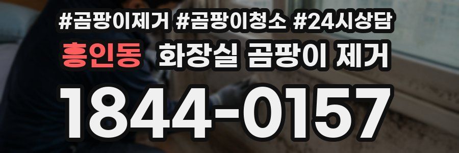 흥인동 화장실 곰팡이 제거