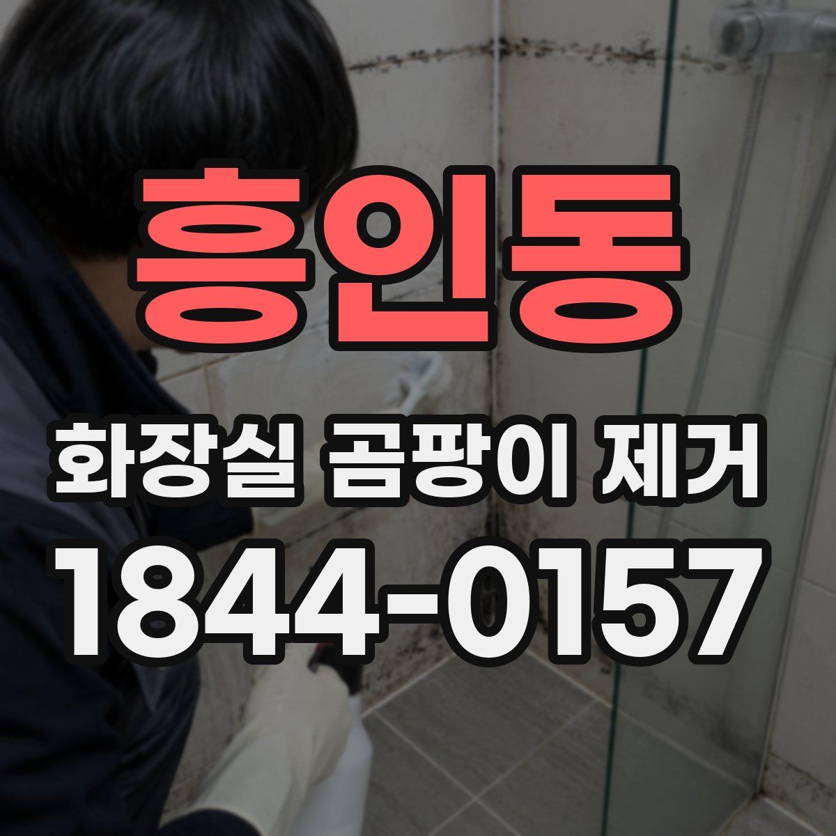 흥인동 화장실 곰팡이 제거