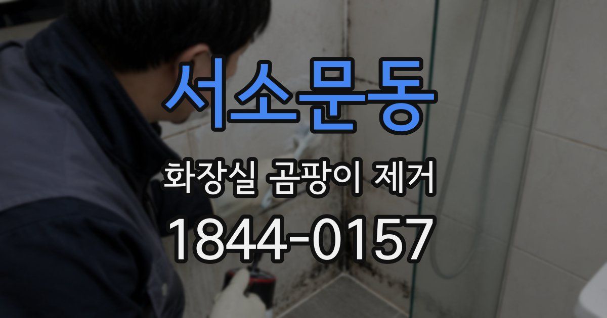서소문동 화장실 곰팡이 제거