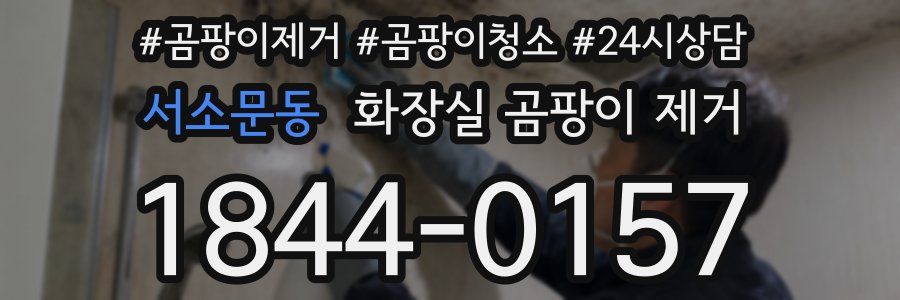 서소문동 화장실 곰팡이 제거
