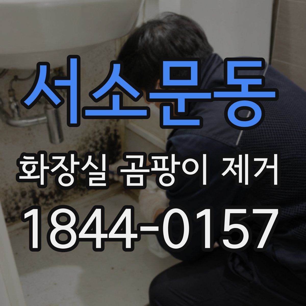 서소문동 화장실 곰팡이 제거