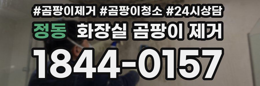 정동 화장실 곰팡이 제거