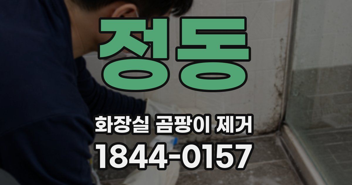 정동 화장실 곰팡이 제거