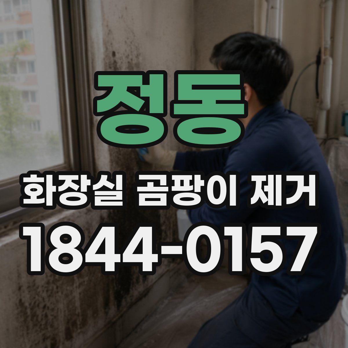 정동 화장실 곰팡이 제거