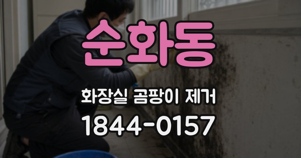 순화동 화장실 곰팡이 제거