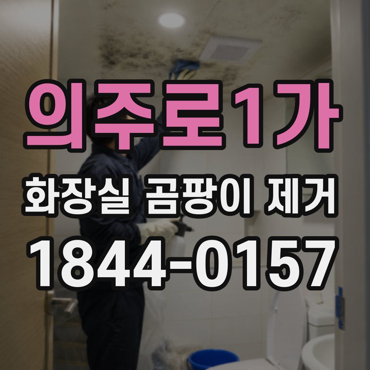 의주로1가 화장실 곰팡이 제거