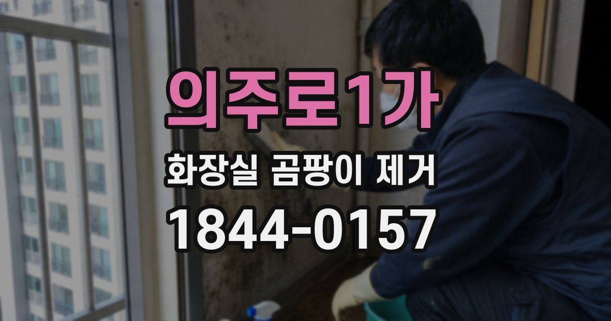 의주로1가 화장실 곰팡이 제거