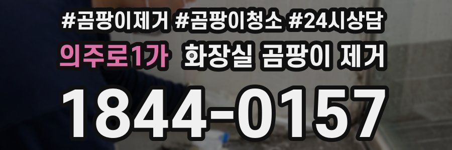 의주로1가 화장실 곰팡이 제거