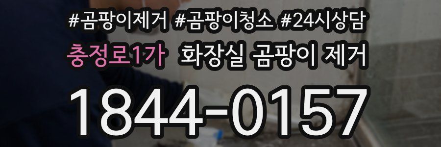 충정로1가 화장실 곰팡이 제거