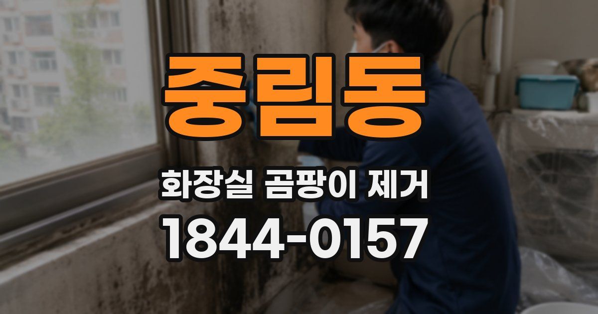 중림동 화장실 곰팡이 제거