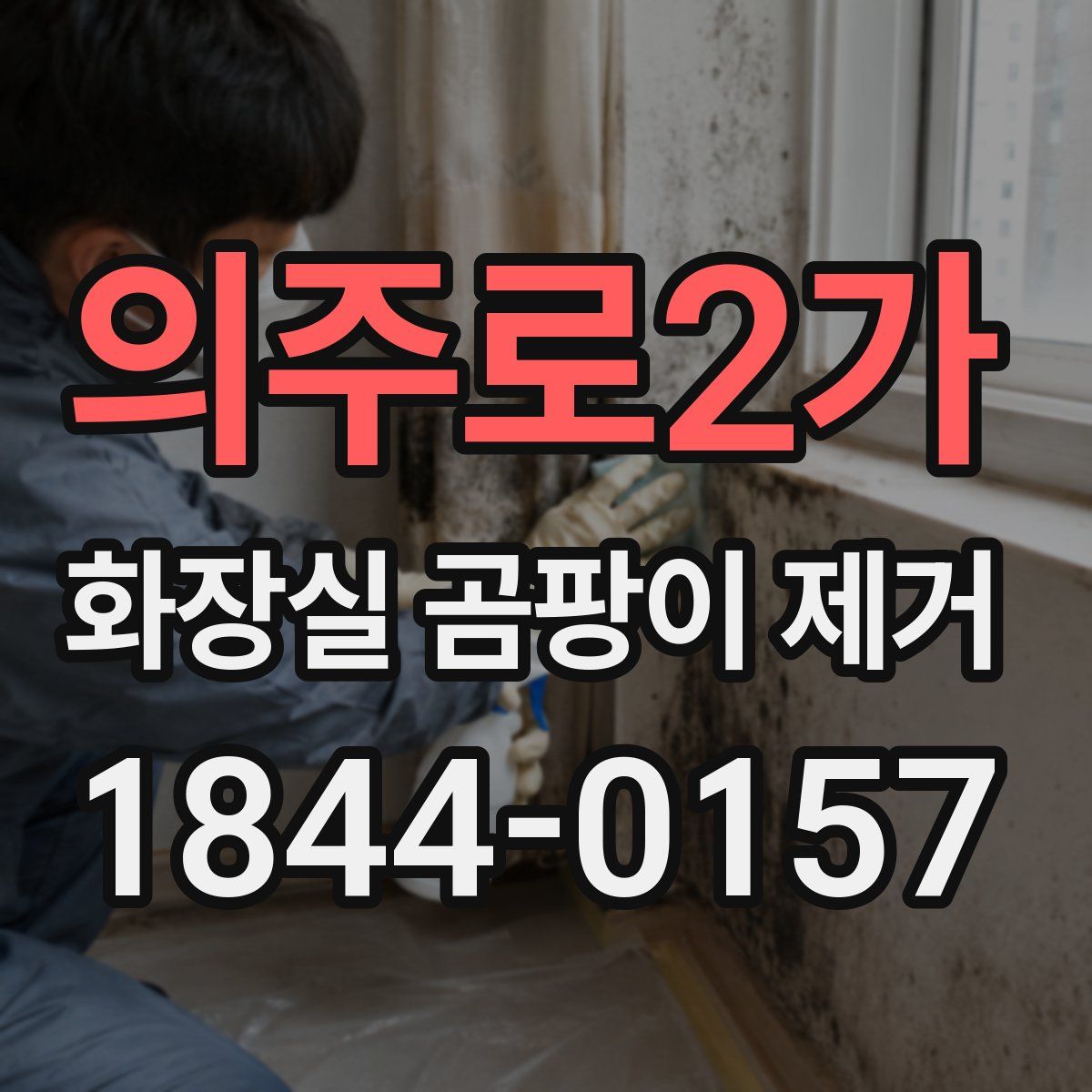 의주로2가 화장실 곰팡이 제거