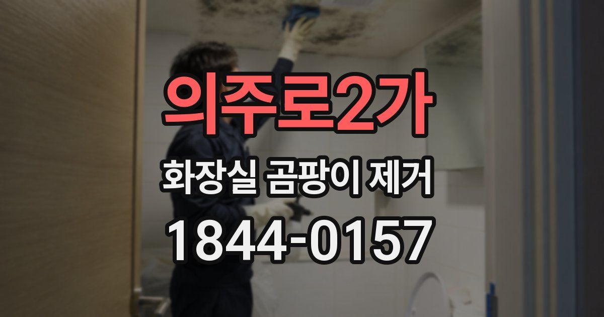 의주로2가 화장실 곰팡이 제거