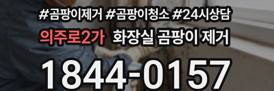 의주로2가 화장실 곰팡이 제거