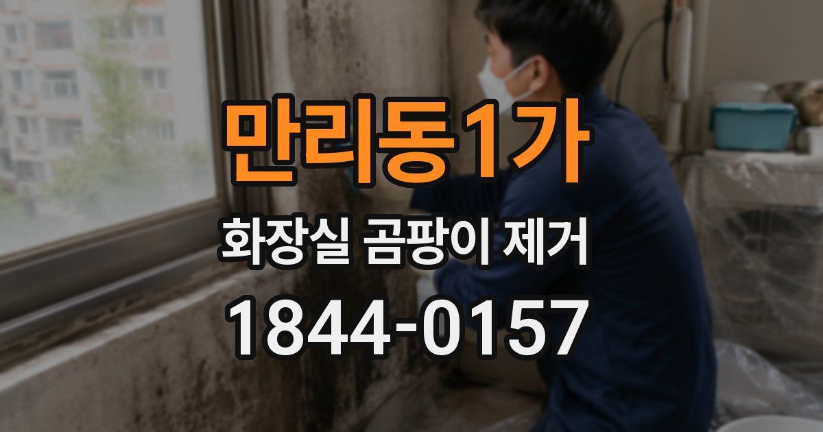 만리동1가 화장실 곰팡이 제거