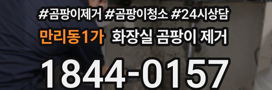 만리동1가 화장실 곰팡이 제거