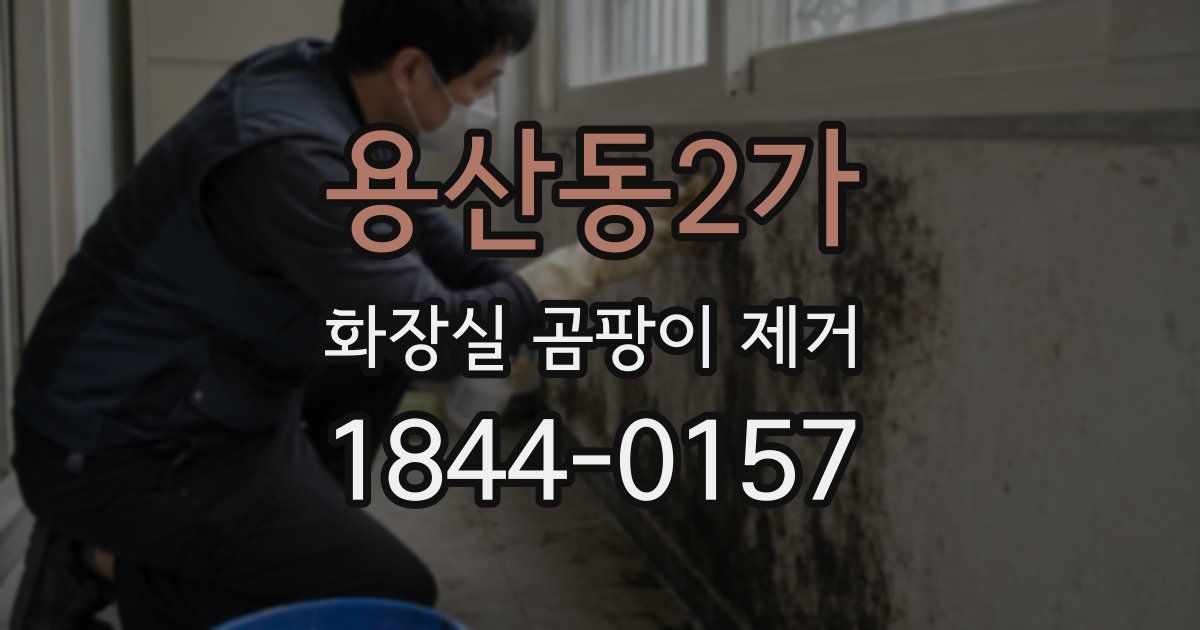 용산동2가 화장실 곰팡이 제거