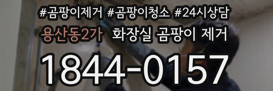 용산동2가 화장실 곰팡이 제거