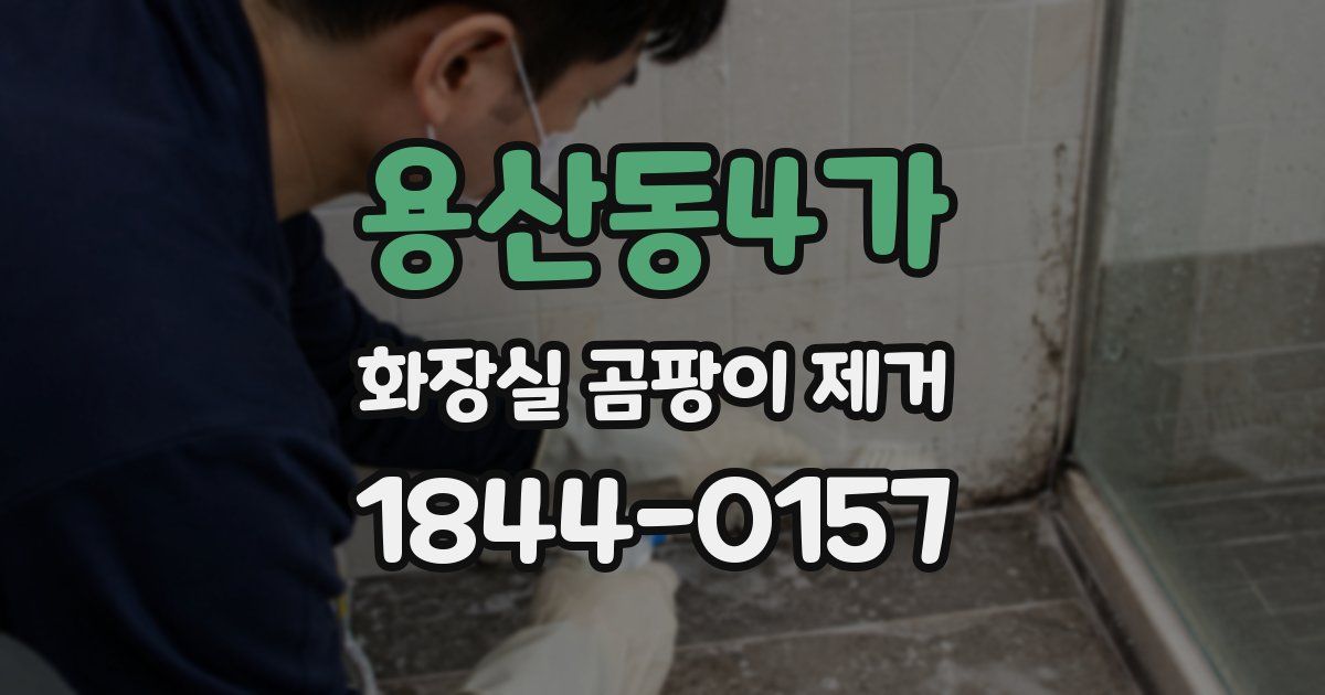 용산동4가 화장실 곰팡이 제거