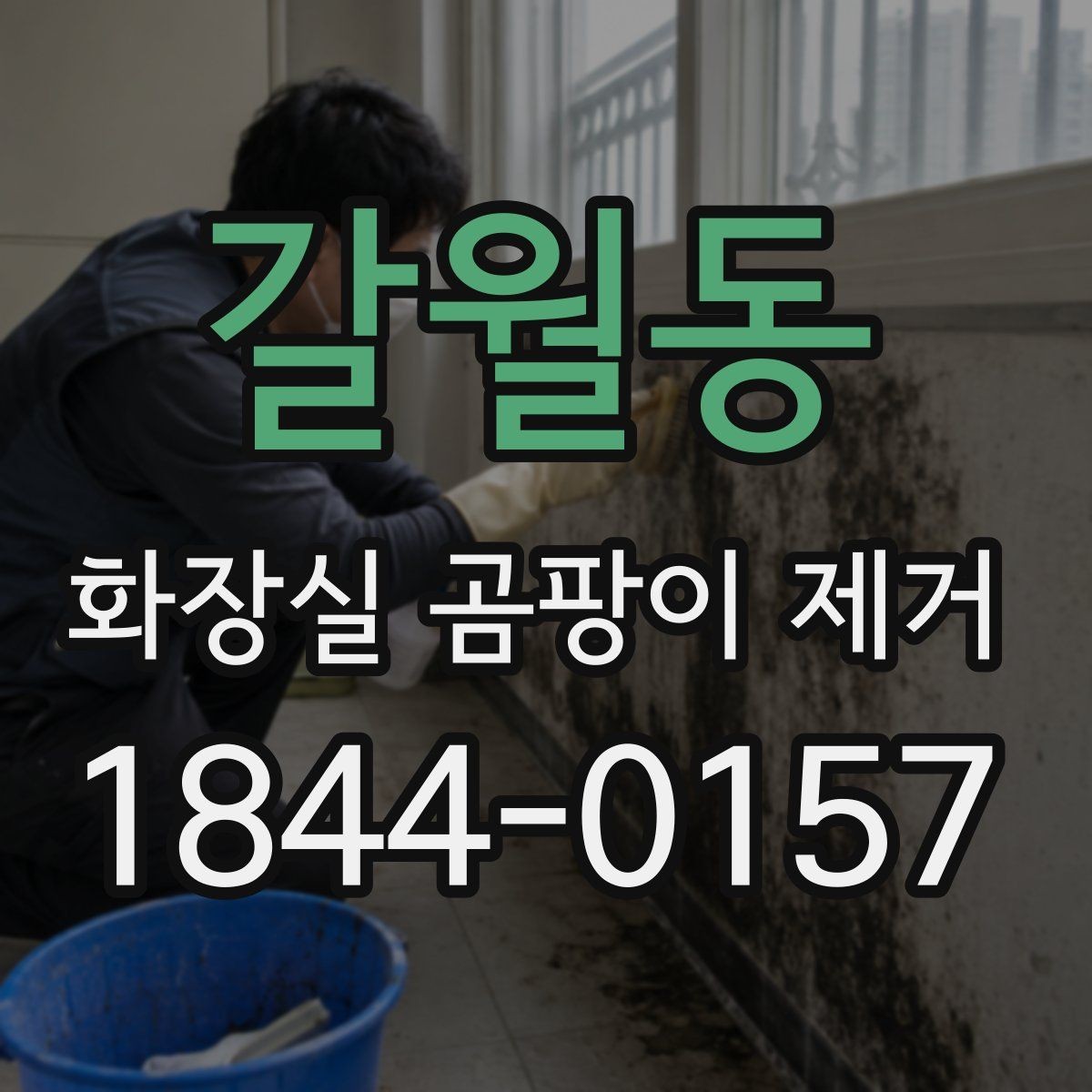 갈월동 화장실 곰팡이 제거 배수구 냄새와 곰팡이를 동시에 줄이는 점검법