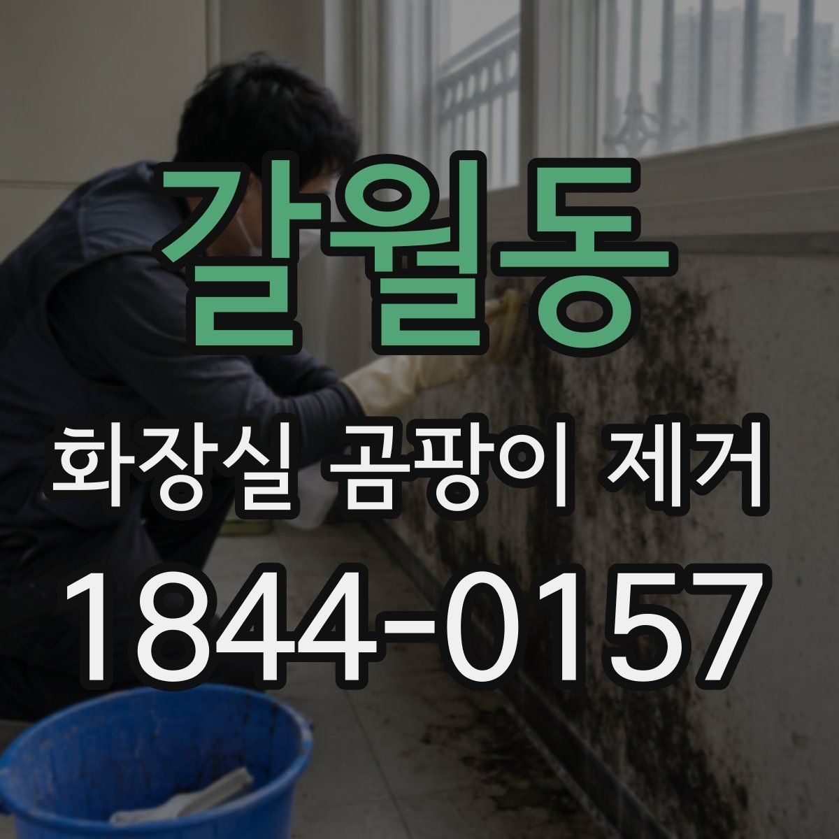 갈월동 화장실 곰팡이 제거