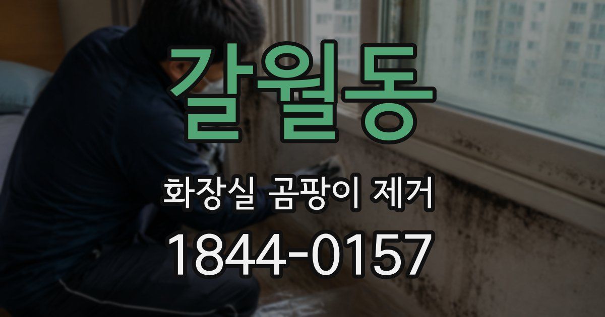 갈월동 화장실 곰팡이 제거