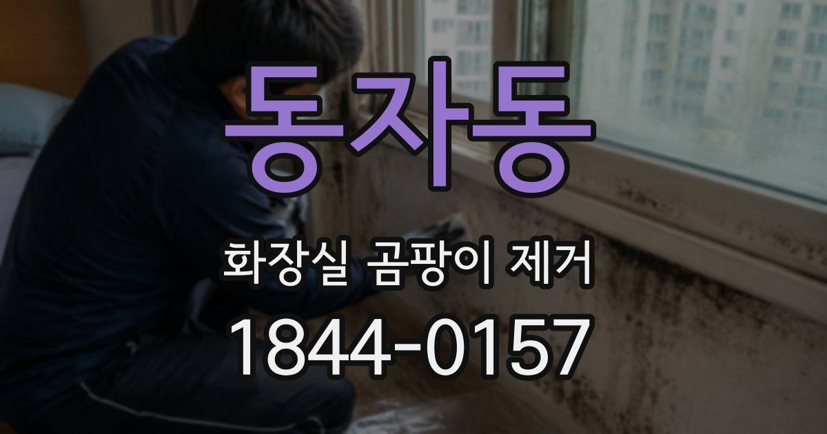 동자동 화장실 곰팡이 제거