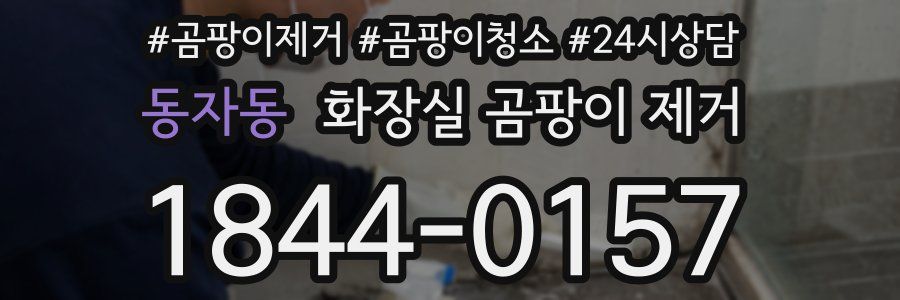 동자동 화장실 곰팡이 제거