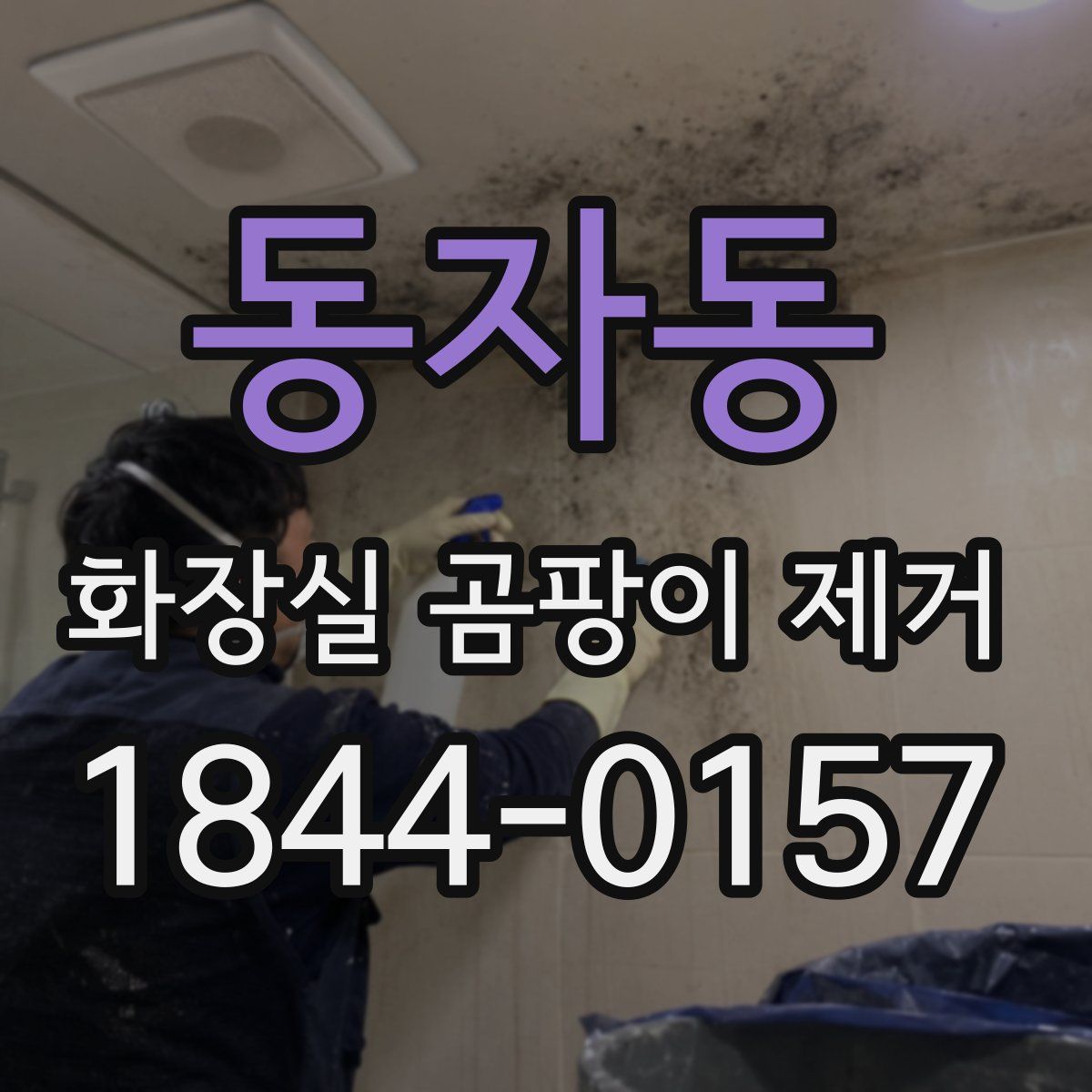 동자동 화장실 곰팡이 제거