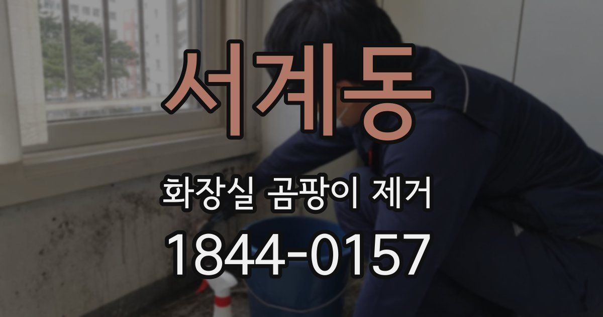 서계동 화장실 곰팡이 제거