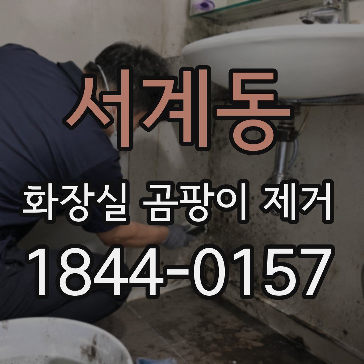 서계동 화장실 곰팡이 제거
