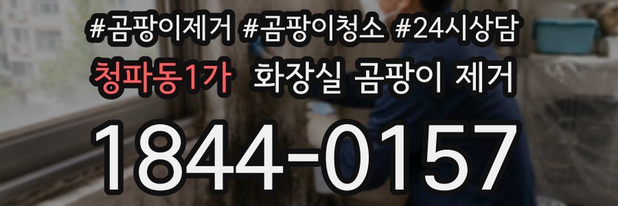 청파동1가 화장실 곰팡이 제거