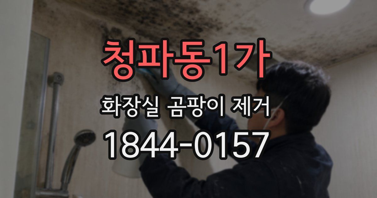청파동1가 화장실 곰팡이 제거