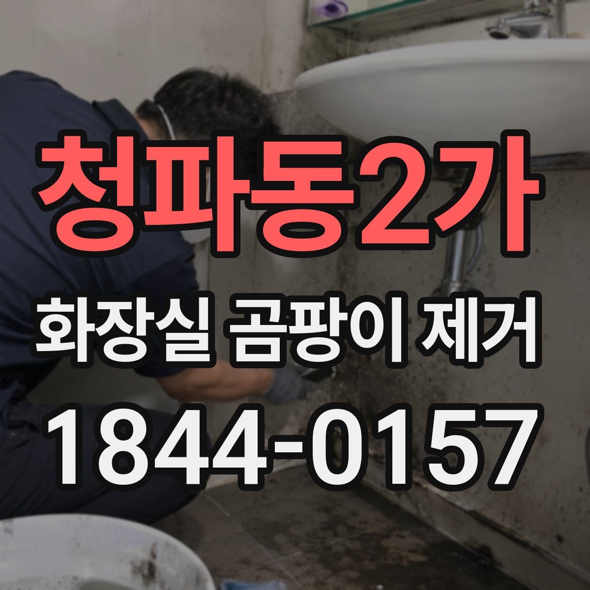 청파동2가 화장실 곰팡이 제거