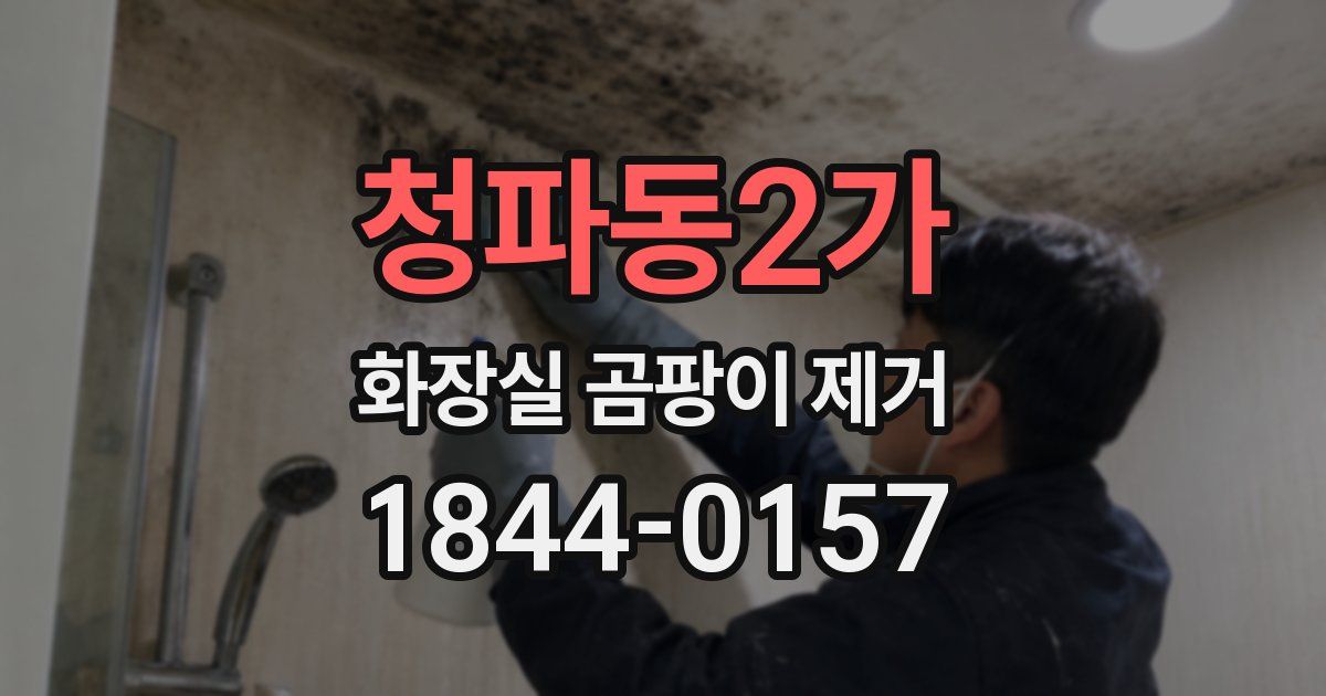 청파동2가 화장실 곰팡이 제거