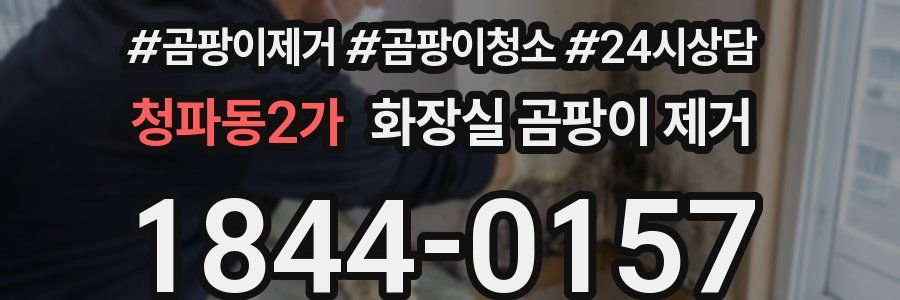 청파동2가 화장실 곰팡이 제거