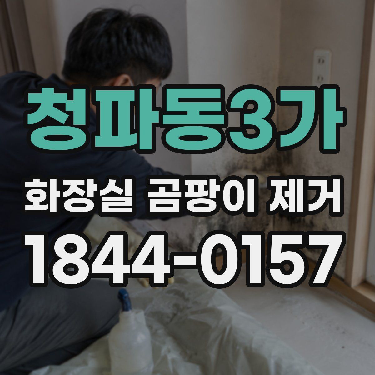 청파동3가 화장실 곰팡이 제거