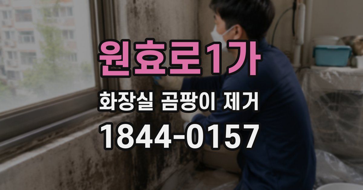 원효로1가 화장실 곰팡이 제거