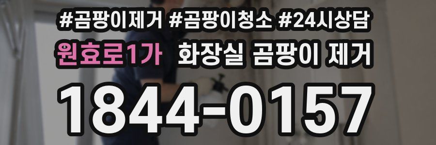 원효로1가 화장실 곰팡이 제거