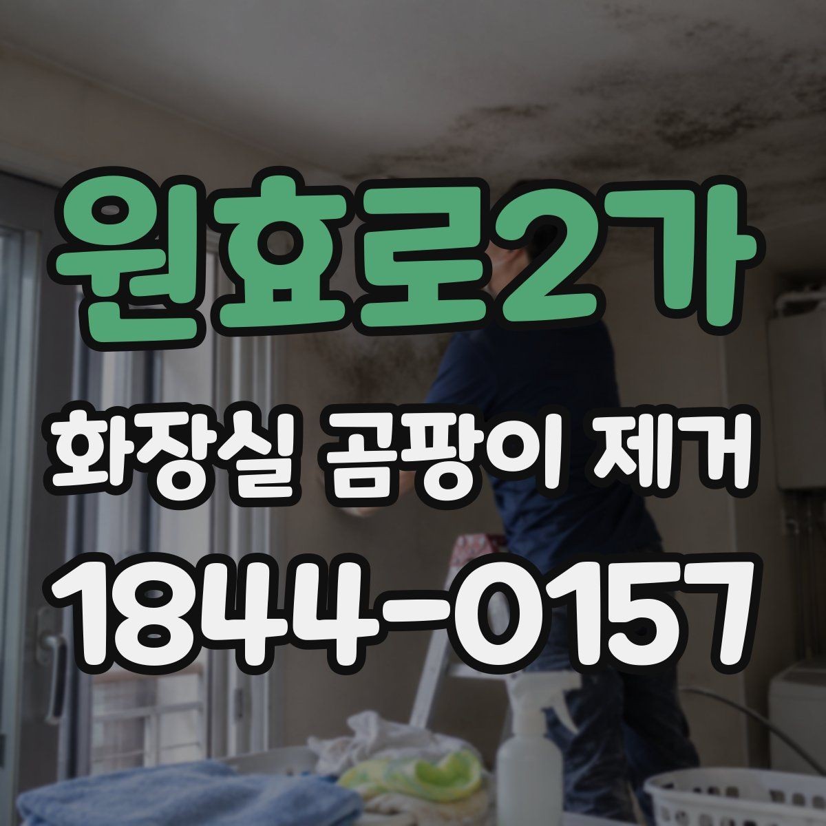 원효로2가 화장실 곰팡이 제거 임대주택에서 분쟁 줄이는 관리 포인트