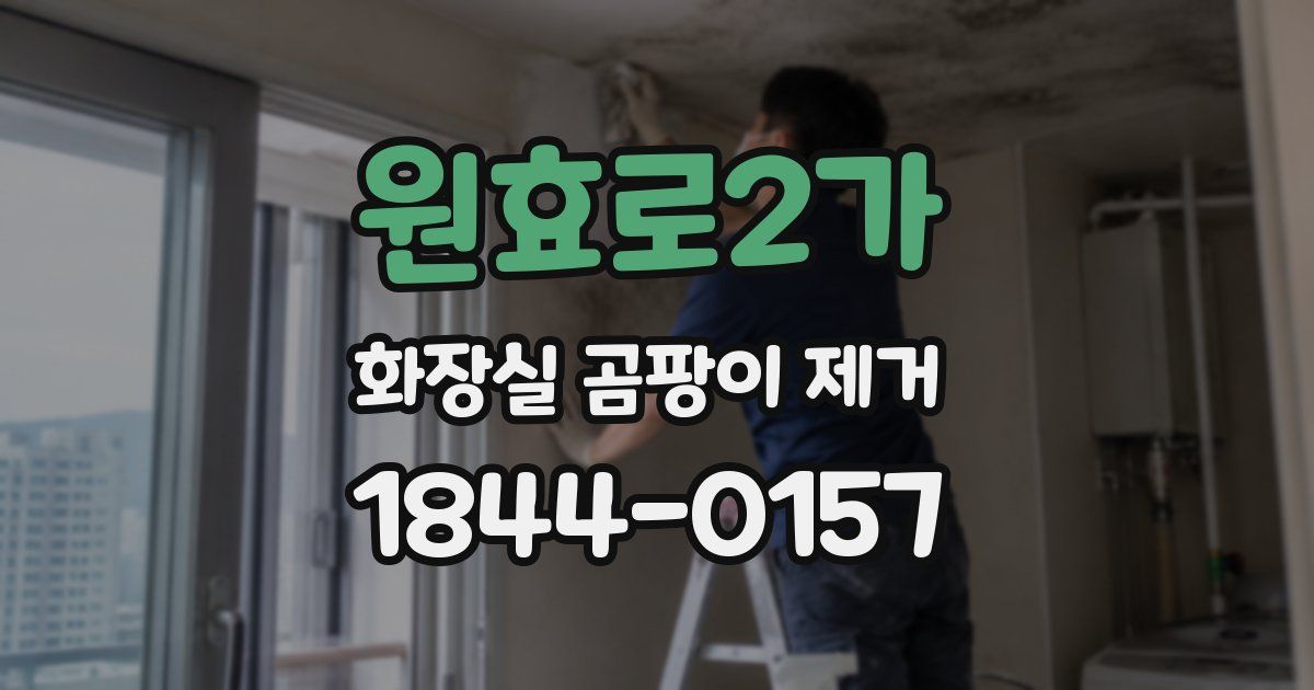 원효로2가 화장실 곰팡이 제거