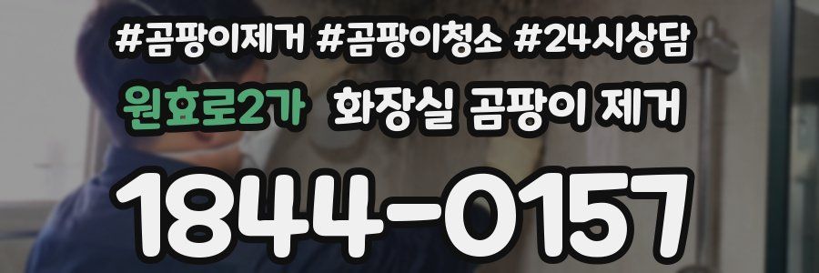 원효로2가 화장실 곰팡이 제거
