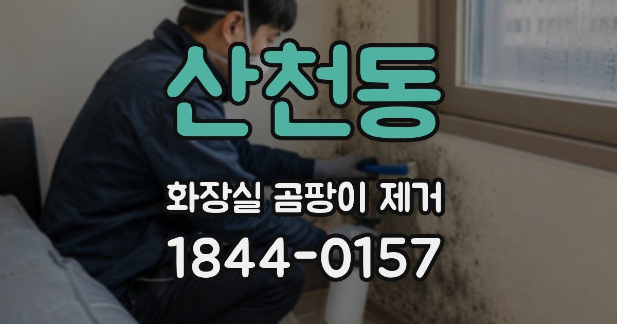 산천동 화장실 곰팡이 제거