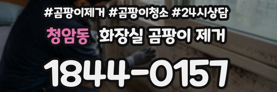 청암동 화장실 곰팡이 제거