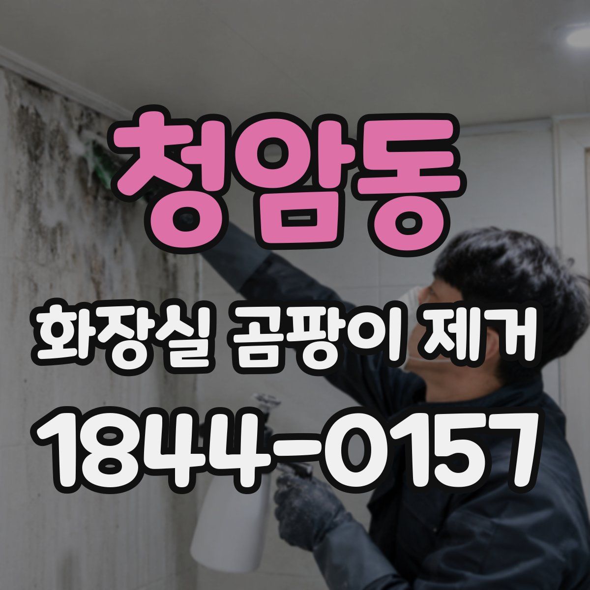 청암동 화장실 곰팡이 제거