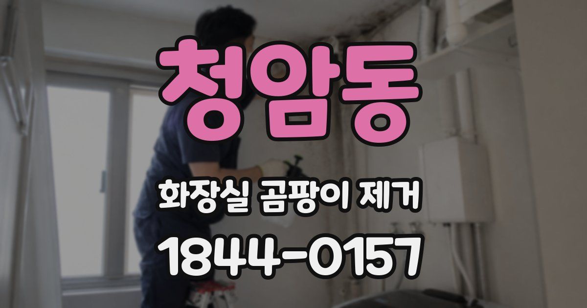 청암동 화장실 곰팡이 제거