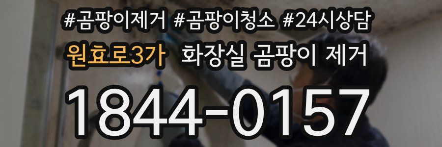 원효로3가 화장실 곰팡이 제거