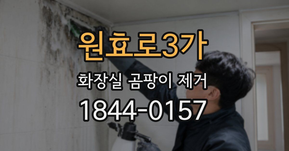 원효로3가 화장실 곰팡이 제거