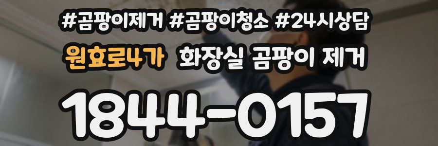 원효로4가 화장실 곰팡이 제거